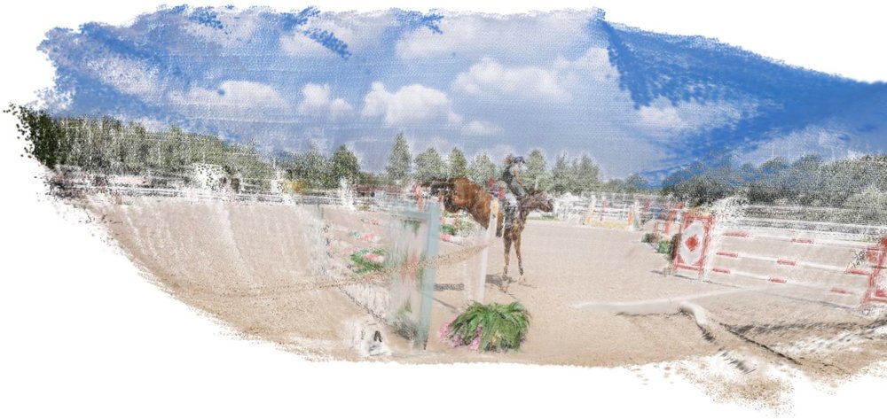 Feed-Forward Bullet-Time Reconstruction of Dynamic Scenes from Monocular Videos Figure 1