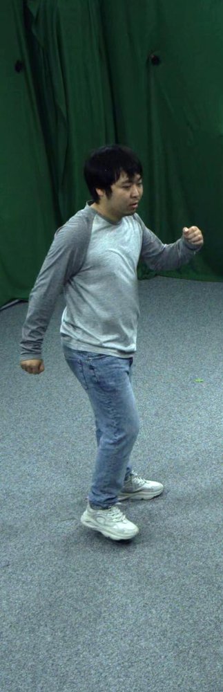 Real-time Free-view Human Rendering from Sparse-view RGB Videos using Double Unprojected Textures Figure 1