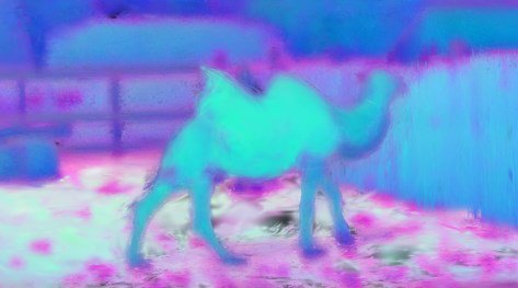 Splatter a Video: Video Gaussian Representation for Versatile Processing Figure 1