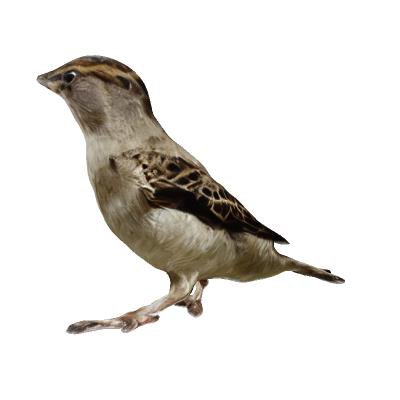 Repaint123: Fast and High-quality One Image to 3D Generation with Progressive Controllable 2D Repainting Figure 1