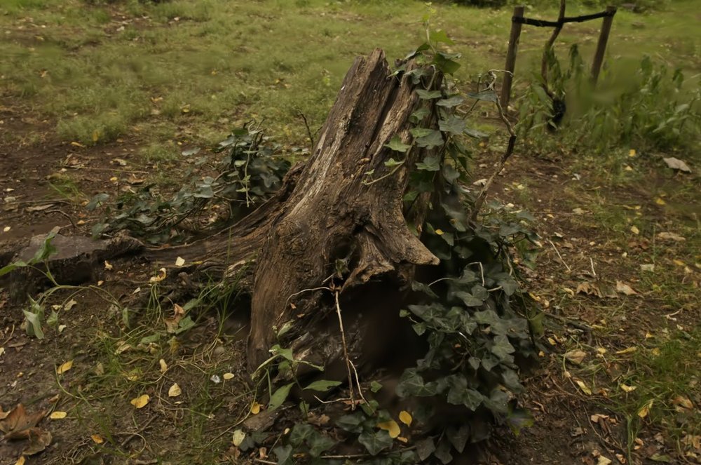 RaDe-GS: Rasterizing Depth in Gaussian Splatting Figure 1