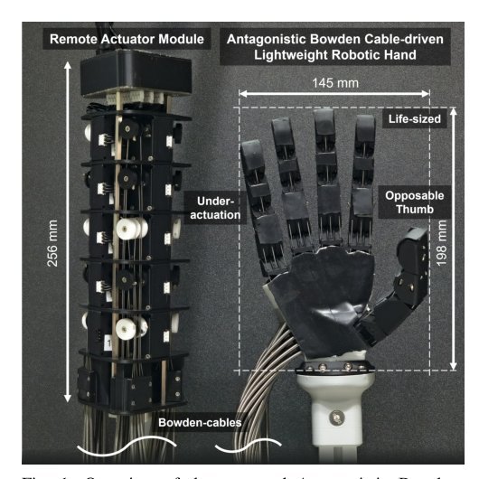 Antagonistic Bowden-Cable Actuation of a Lightweight Robotic Hand: Toward Dexterous Manipulation for Payload Constrained Humanoids Figure 1