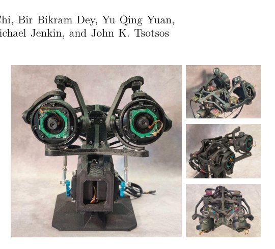 DIJIT: A Robotic Head for an Active Observer Figure 1