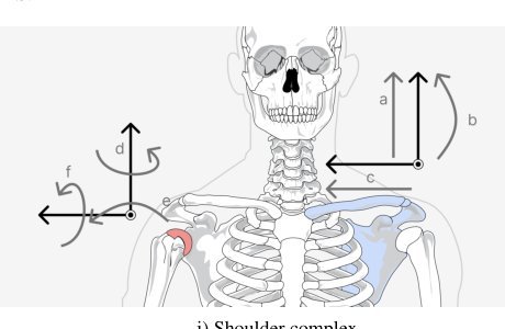 Human-Level Actuation for Humanoids Figure 1