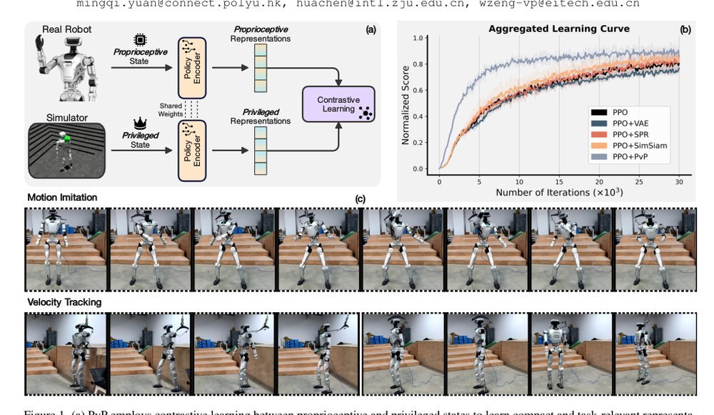 PvP: Data-Efficient Humanoid Robot Learning with Proprioceptive-Privileged Contrastive Representations Figure 1