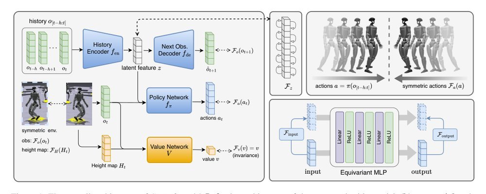 Coordinated Humanoid Robot Locomotion with Symmetry Equivariant Reinforcement Learning Policy Figure 1