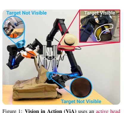 Vision in Action: Learning Active Perception from Human Demonstrations Figure 1