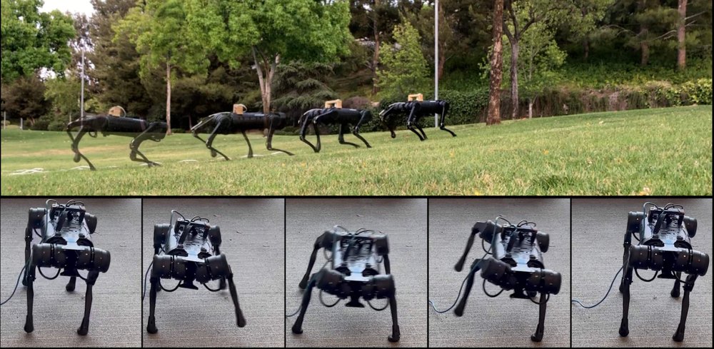 Legged Robots that Keep on Learning: Fine-Tuning Locomotion Policies in the Real World Figure 1