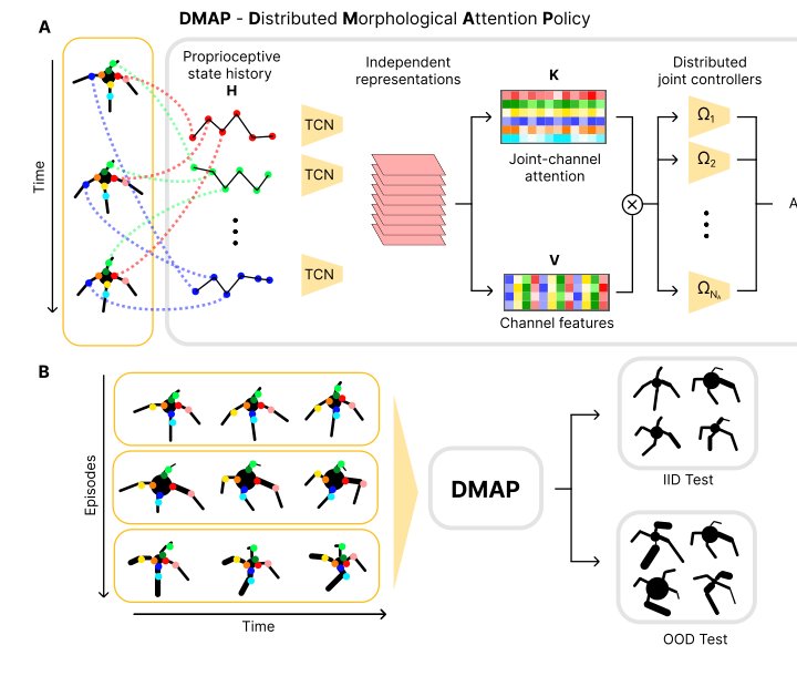 DMAP: a Distributed Morphological Attention Policy for Learning to Locomote with a Changing Body Figure 1