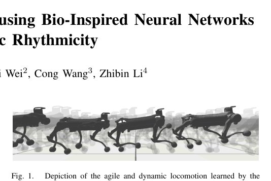 Learning Quadruped Locomotion using Bio-Inspired Neural Networks with Intrinsic Rhythmicity Figure 1