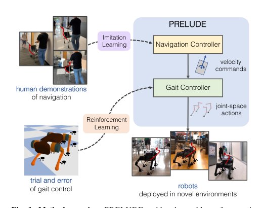 Learning to Walk by Steering: Perceptive Quadrupedal Locomotion in Dynamic Environments Figure 1