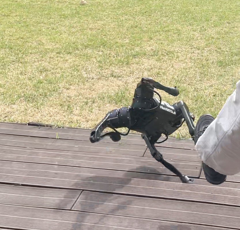 Robust Recovery Motion Control for Quadrupedal Robots via Learned Terrain Imagination Figure 1