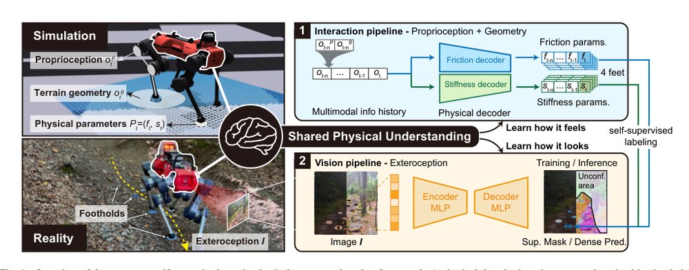 Identifying Terrain Physical Parameters from Vision - Towards Physical-Parameter-Aware Locomotion and Navigation Figure 1