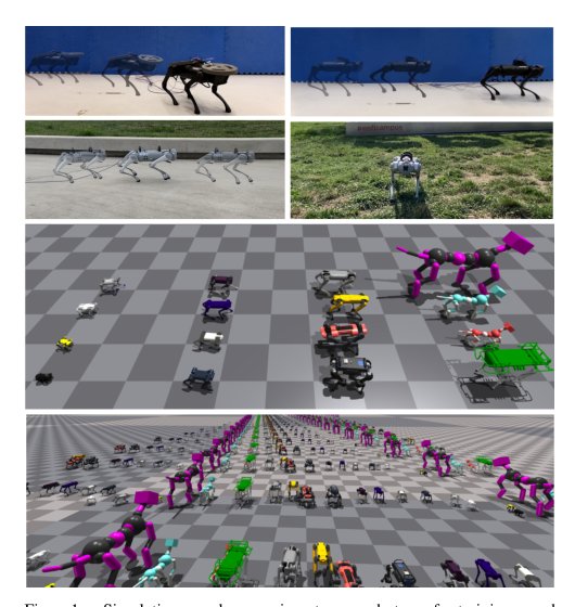 ManyQuadrupeds: Learning a Single Locomotion Policy for Diverse Quadruped Robots Figure 1