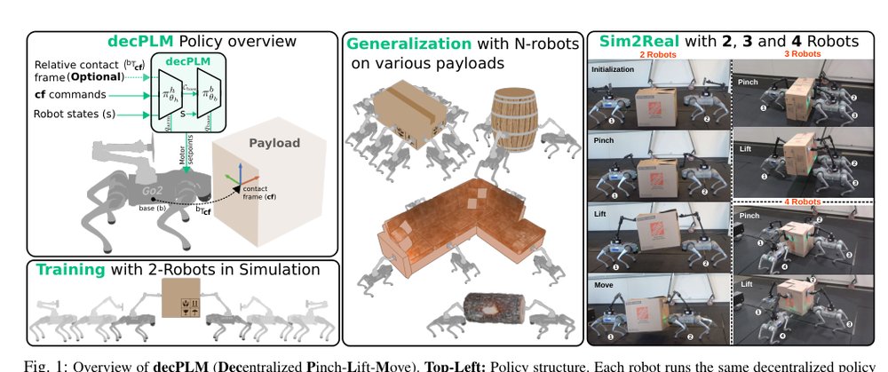 Multi-Quadruped Cooperative Object Transport: Learning Decentralized Pinch-Lift-Move Figure 1
