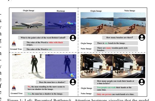 P$^2$-DPO: Grounding Hallucination in Perceptual Processing via Calibration Direct Preference Optimization Figure 1