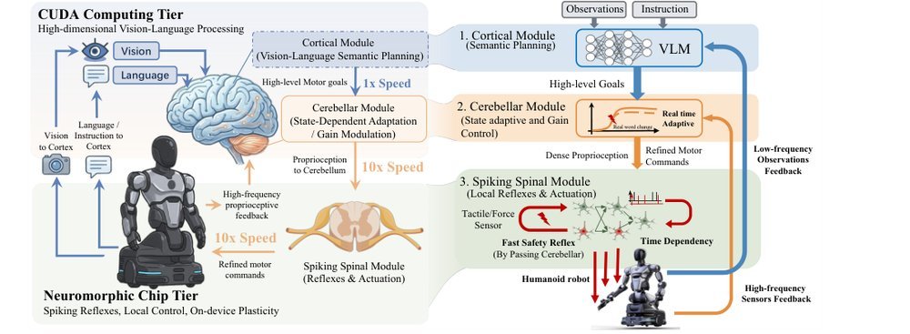 A Brain-inspired Embodied Intelligence for Fluid and Fast Reflexive Robotics Control figure