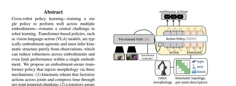 Embedding Morphology into Transformers for Cross-Robot Policy Learning figure