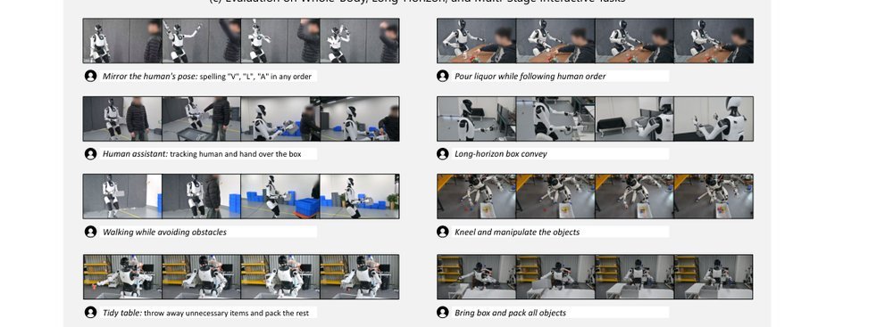 HEX: Humanoid-Aligned Experts for Cross-Embodiment Whole-Body Manipulation figure