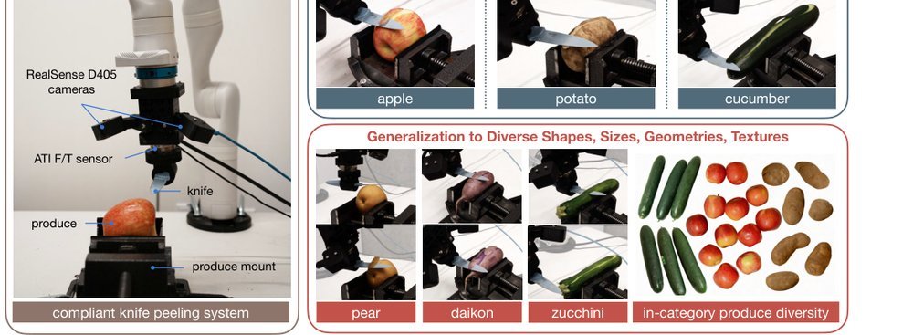 How to Peel with a Knife: Aligning Fine-Grained Manipulation with Human Preference figure