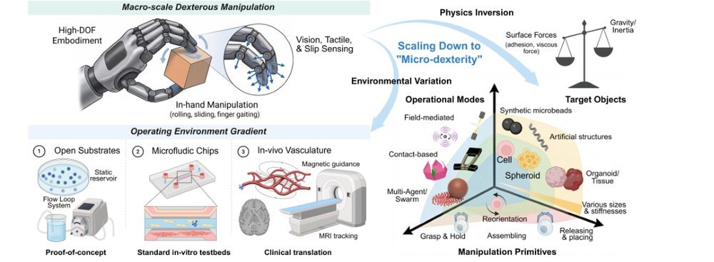Micro-Dexterity in Biological Micromanipulation: Embodiment, Perception, and Control figure