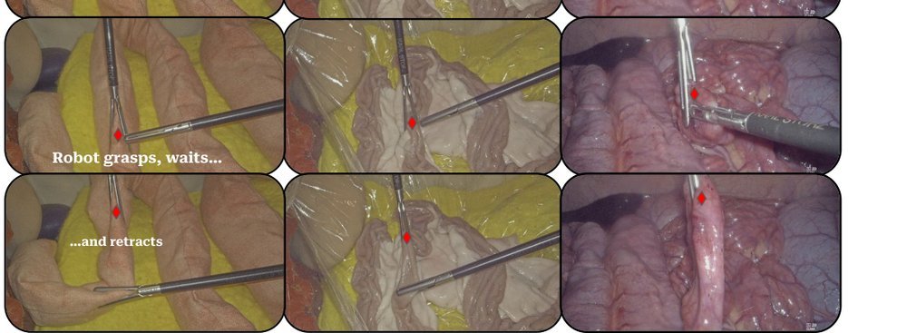 MoE-ACT: Improving Surgical Imitation Learning Policies through Supervised Mixture-of-Experts figure