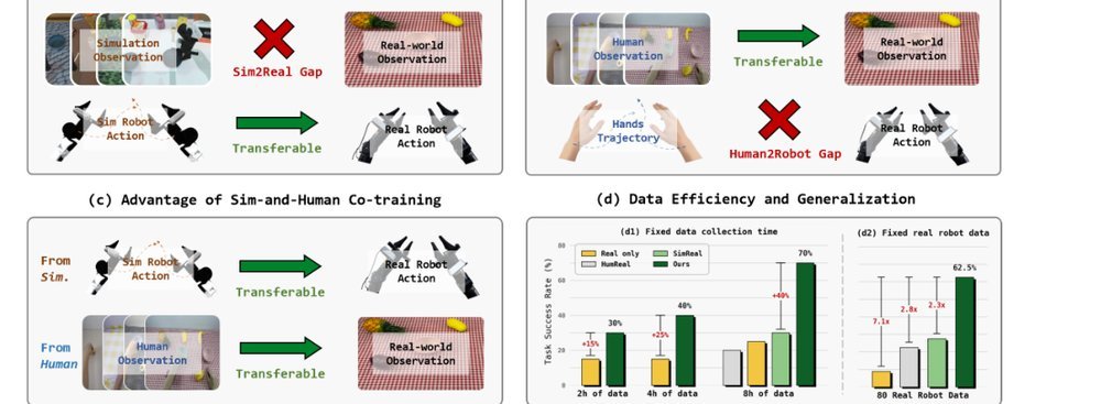 Sim-and-Human Co-training for Data-Efficient and Generalizable Robotic Manipulation figure