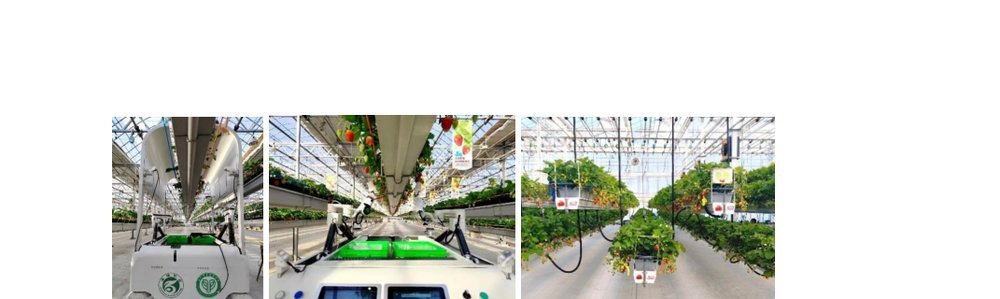 Vision-Based Early Fault Diagnosis and Self-Recovery for Strawberry Harvesting Robots figure