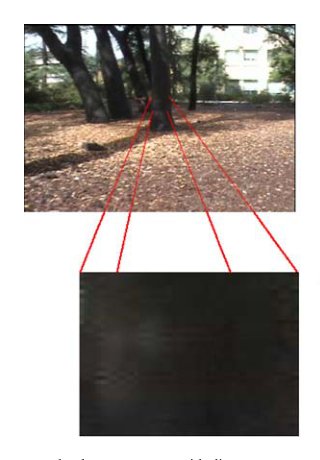 Reverse Optical Flow for Self-Supervised Adaptive Autonomous Robot Navigation Figure 1
