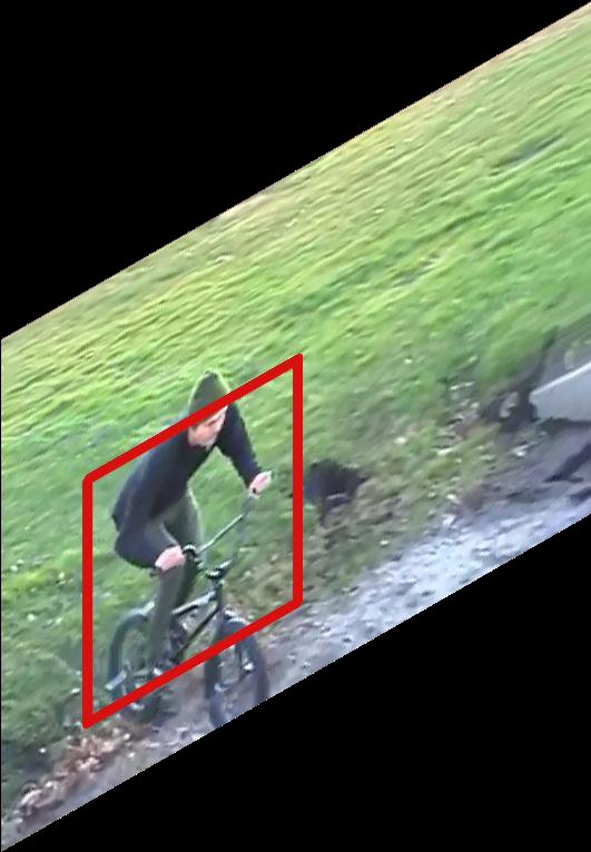 Unsupervised Learning of Visual Representations using Videos Figure 1