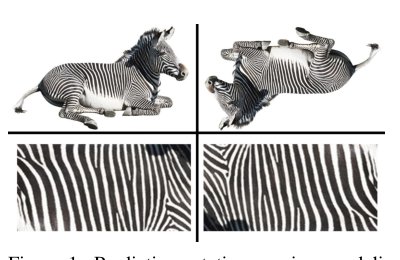 Using Self-Supervised Learning Can Improve Model Robustness and Uncertainty Figure 1