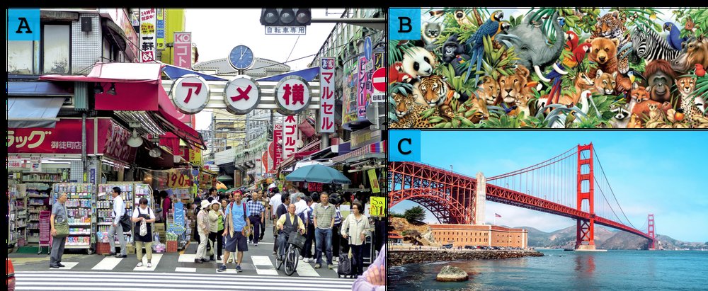 A critical analysis of self-supervision, or what we can learn from a single image Figure 1