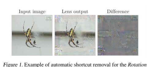 Automatic Shortcut Removal for Self-Supervised Representation Learning Figure 1