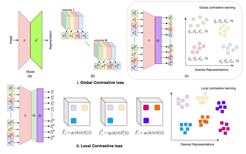 Contrastive learning of global and local features for medical image segmentation with limited annotations Figure 1