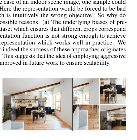 Demystifying contrastive self-supervised learning: Invariances, augmentations and dataset biases Figure 1