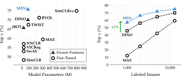 Masked Siamese Networks for Label-Efficient Learning Figure 1