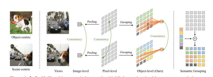 Self-Supervised Visual Representation Learning with Semantic Grouping Figure 1