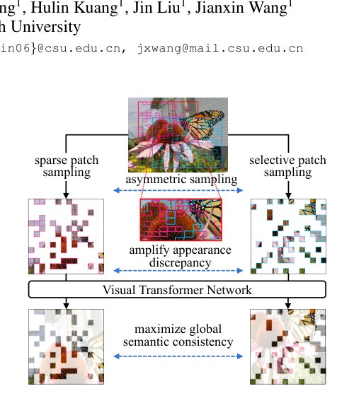 Asymmetric Patch Sampling for Contrastive Learning Figure 1
