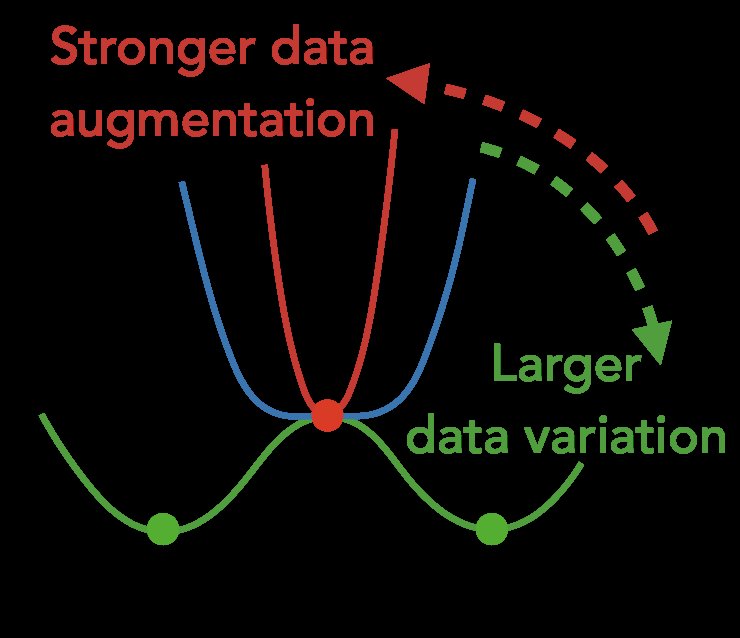 What shapes the loss landscape of self supervised learning? Figure 1