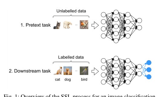 Towards evolution of Deep Neural Networks through contrastive Self-Supervised learning Figure 1