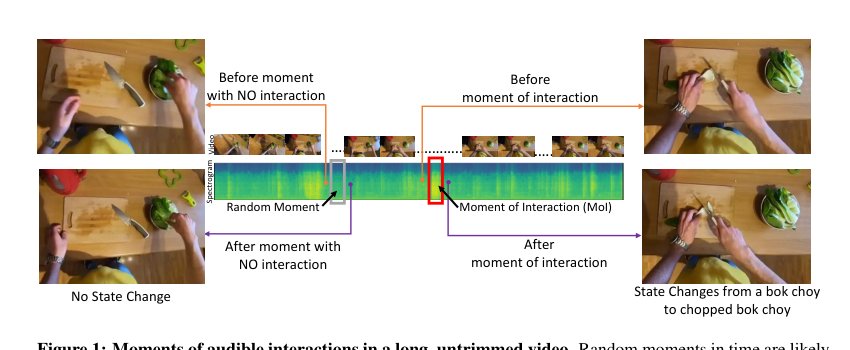 Learning State-Aware Visual Representations from Audible Interactions Figure 1