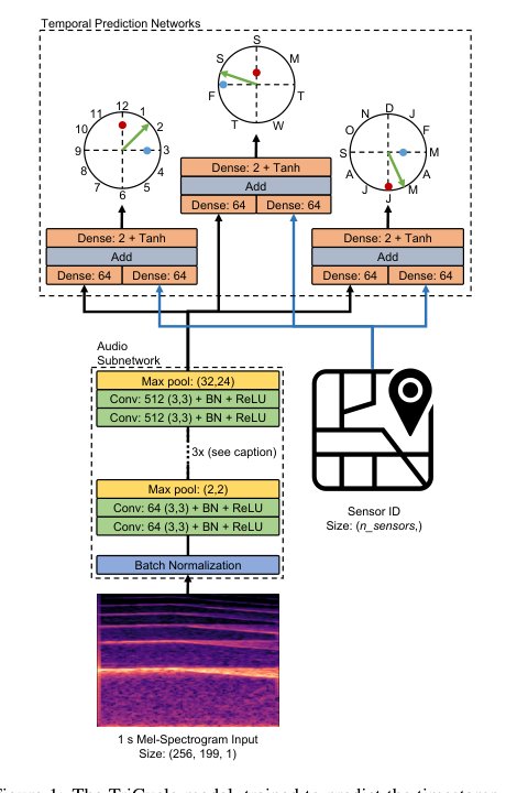 TriCycle: Audio Representation Learning from Sensor Network Data Using Self-Supervision Figure 1