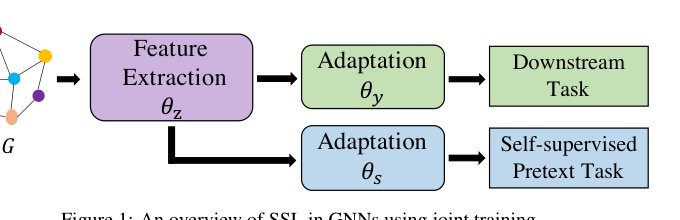 Self-supervised Learning on Graphs: Deep Insights and New Direction Figure 1