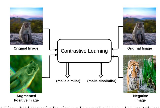 A Survey on Contrastive Self-supervised Learning Figure 1