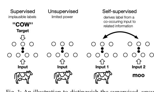 Self-supervised Learning: Generative or Contrastive Figure 1