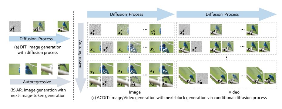 ACDiT: Interpolating Autoregressive Conditional Modeling and Diffusion Transformer Figure 1