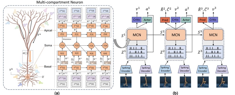 Implementing Spiking World Model with Multi-Compartment Neurons for Model-based Reinforcement Learning Figure 1