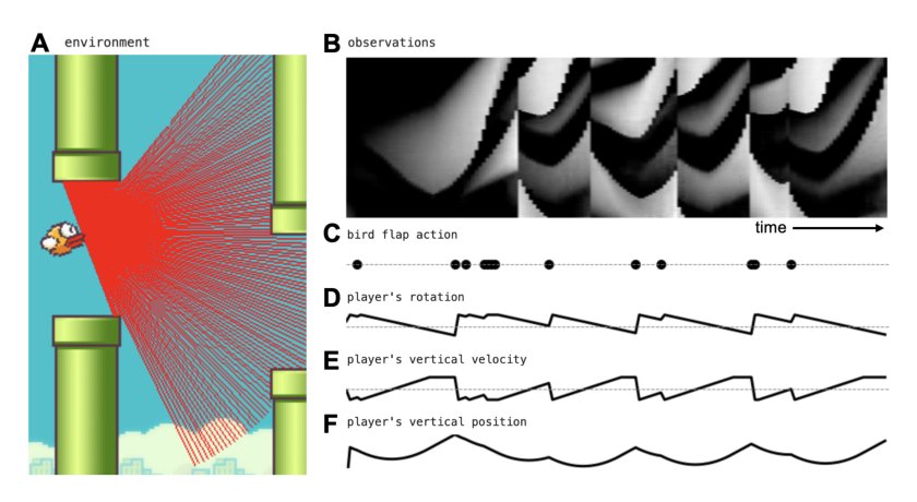 Improving World Models using Supervision with Co-Evolving Linear Probes Figure 1