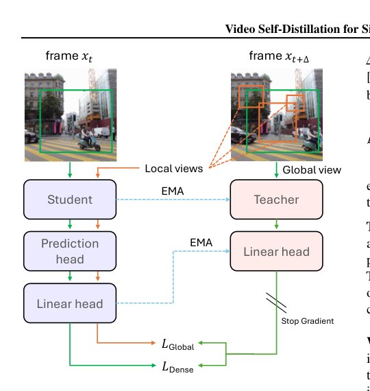 Video Self-Distillation for Single-Image Encoders: A Step Toward Physically Plausible Perception Figure 1
