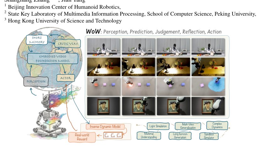 WoW: Towards a World omniscient World model Through Embodied Interaction Figure 1